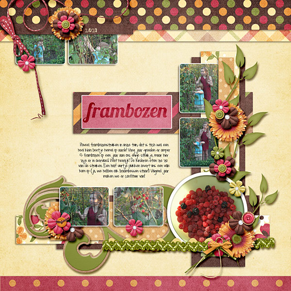 11-10-02-frambozen