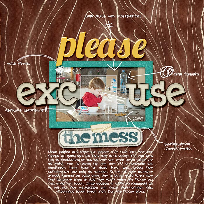 11-11-22-excusethemess