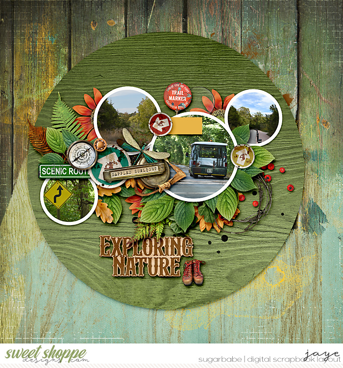 1101-ToT10b-AdventureWalk_TNP-copy