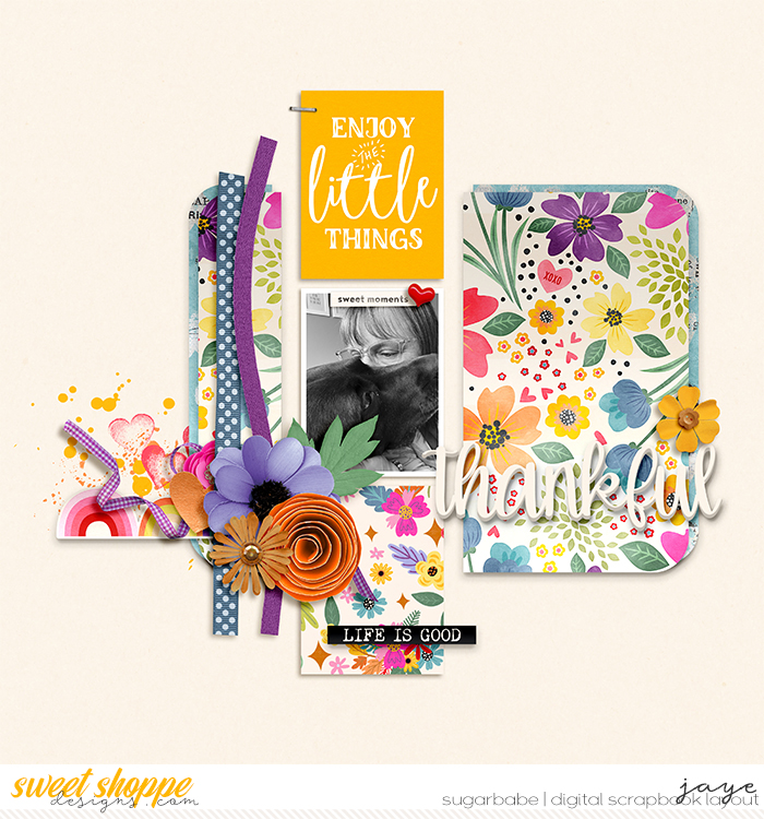 1125-EveryLittleThing_SSD