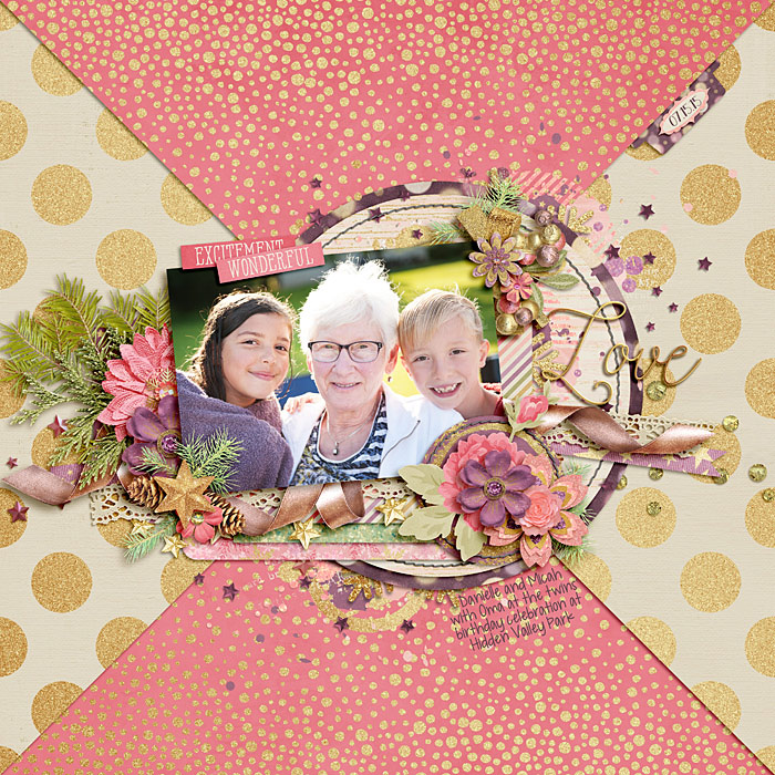11_22_15-Visions-of-Sugarplums-web