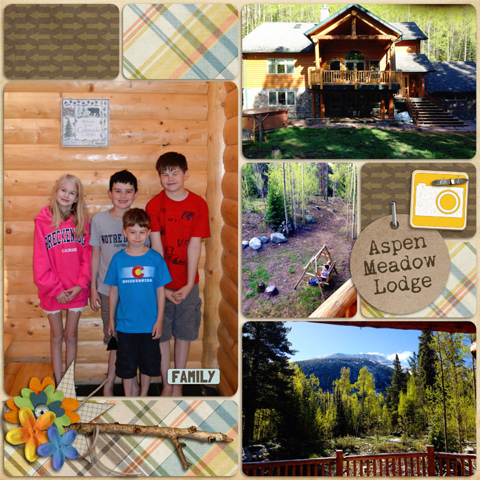 12-01-aspen-meadow-700