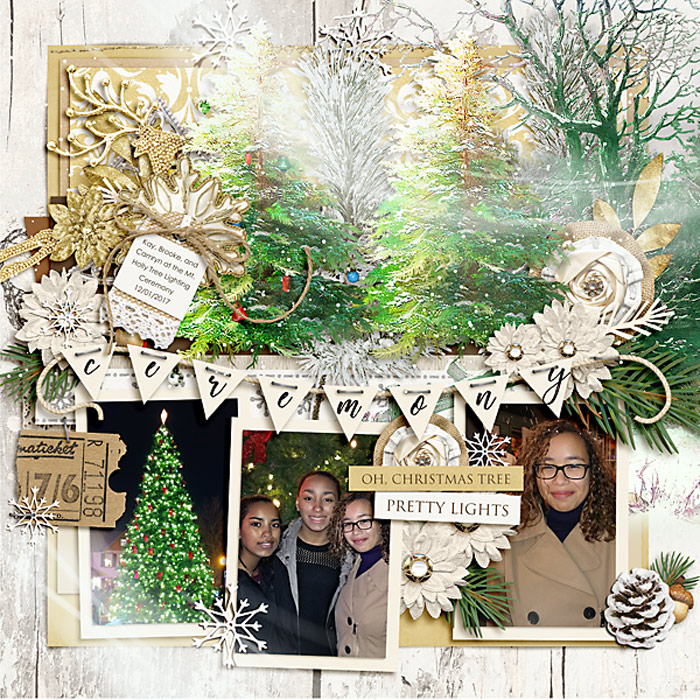 12-3-2017-TreeLighting-SSDd