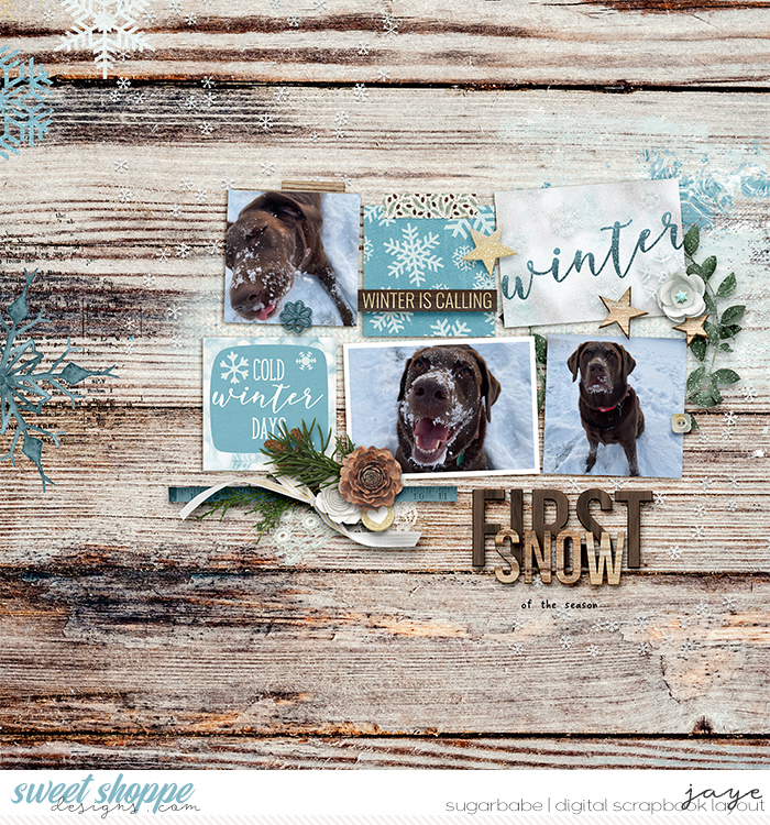 1216-Snowflakes_Evergreen-RR