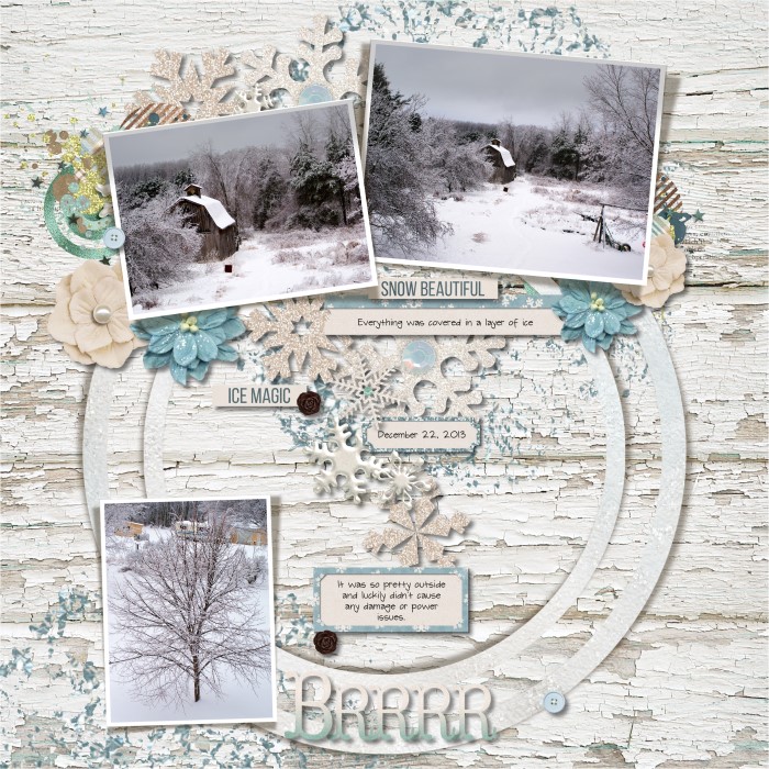 122213_Ice_storm_700
