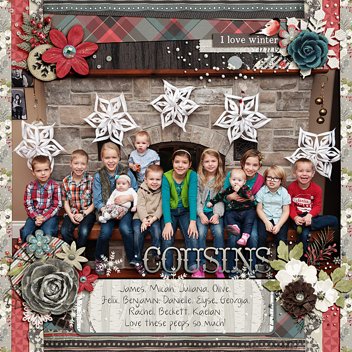 12_31_15-Grandkiddies-web