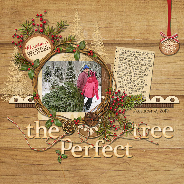 12_5_2010_The_Perfect_Tree_