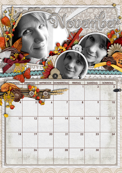 13-11nov7