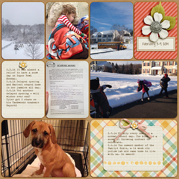 140203-140209-PL