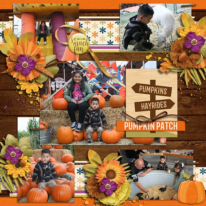 161103-Pickofthepatch-DSI-web