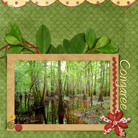 16_Congaree_2a_copy