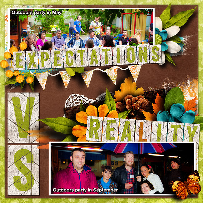 19_exp_vs_reality