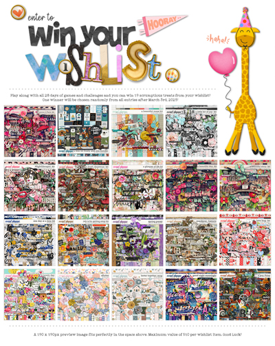19bday_wishlist--web
