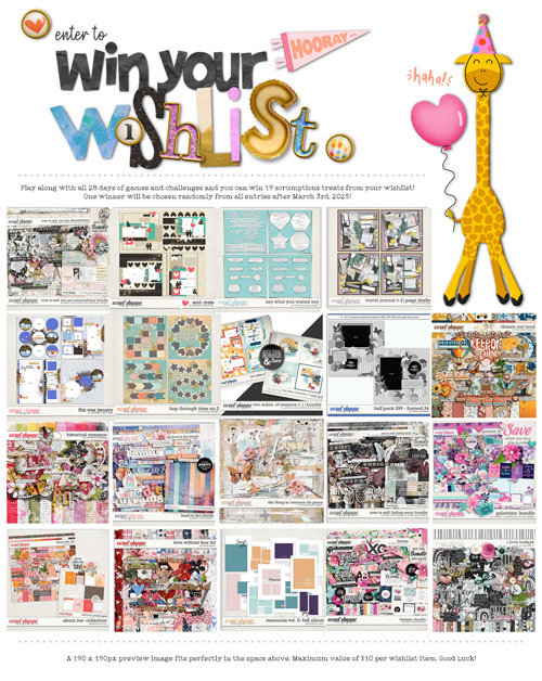 19bday_wishlist-filled