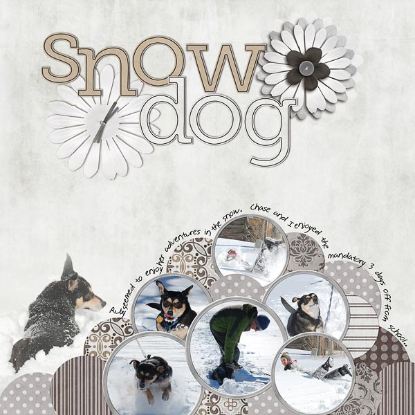 2-snow-dog