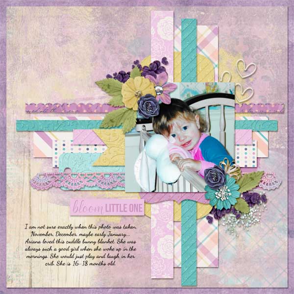 2001_December_Ariana_web_AS_wisteria