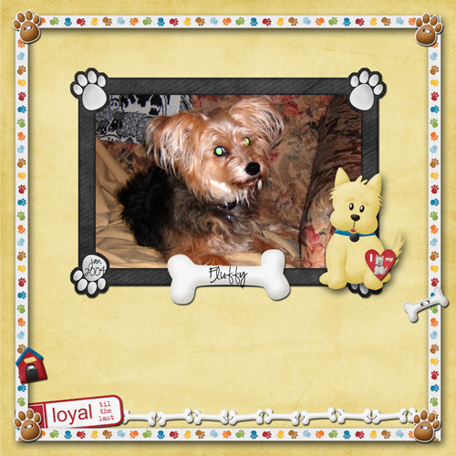 2004-Fluffy