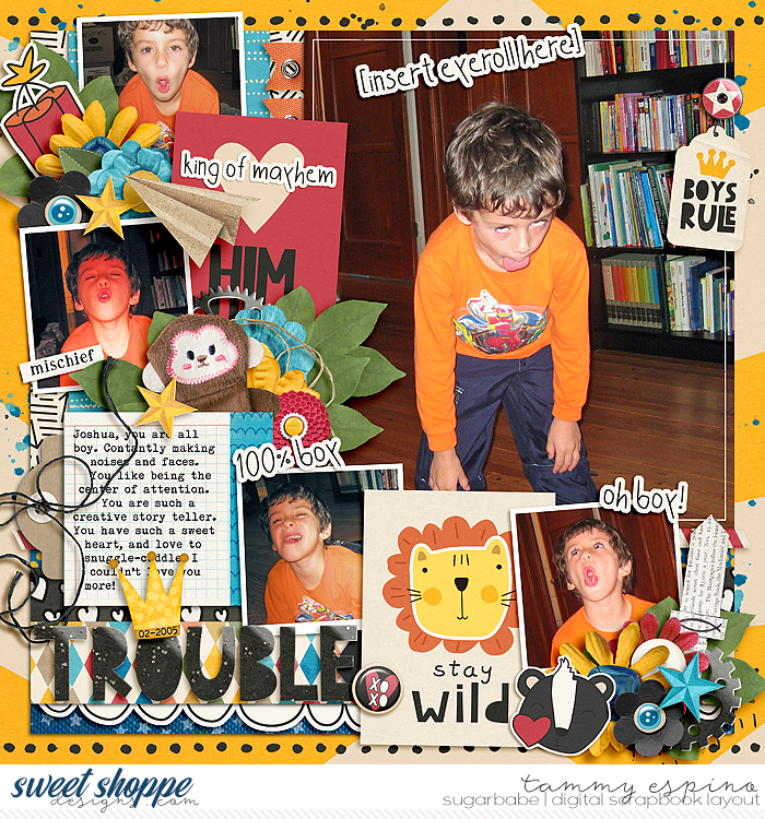 2005-02_ay-bg-Troublemaker_cs-PP249_babe