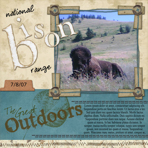 2007_7_bison