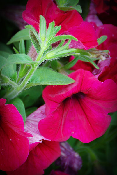 2008-06-18-14-31-57_0139b