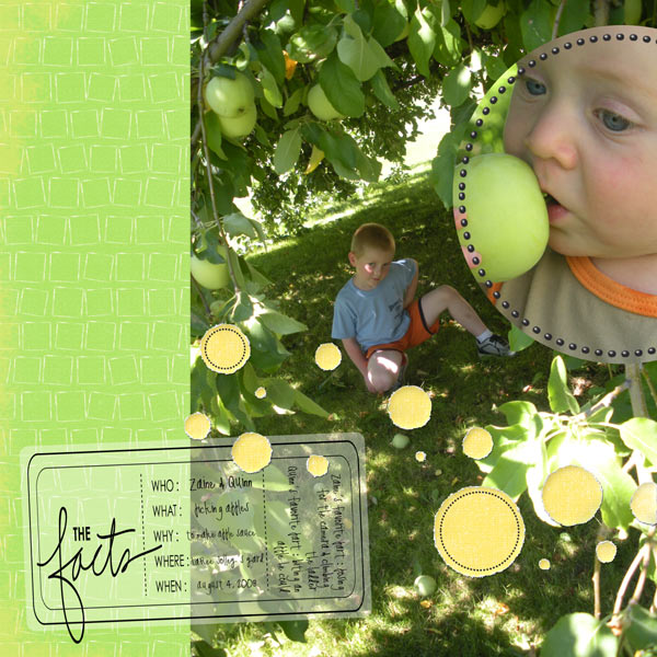 2008-08-04picking-apples