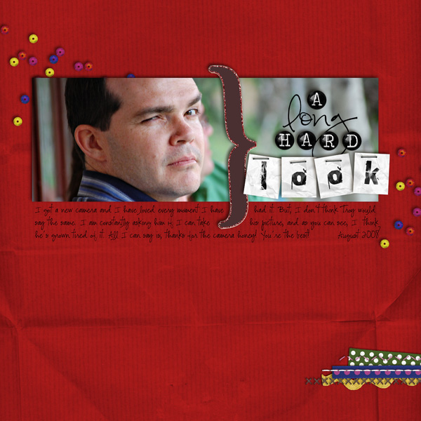 2008-08_a_long_hard_look_copy