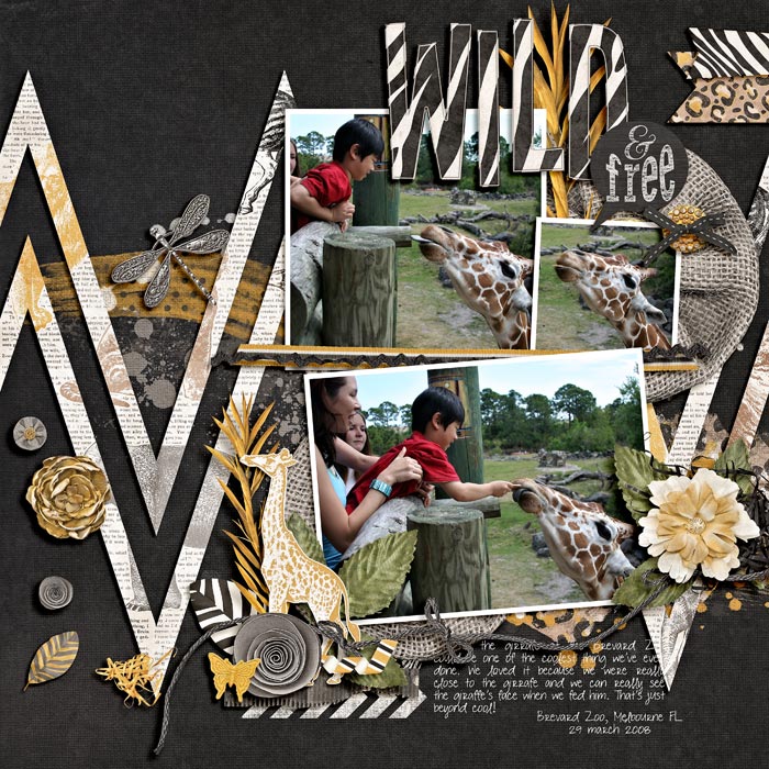 20080329-feed-giraffe-web