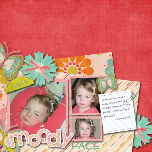 2008_01_Ada_s_Moody_Face