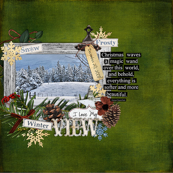 2008_12_view2