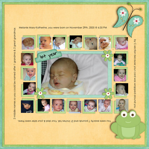 2008_2_CSchneider_cookie101_02272008