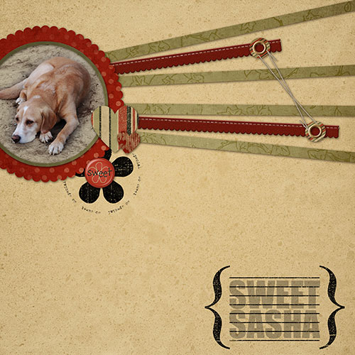 2008_4_CSchneider_Cookie101_23042008