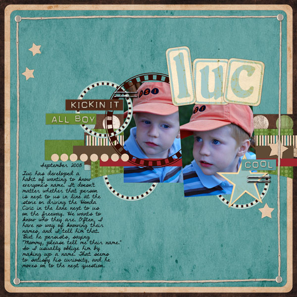2008_9_LucQuestions