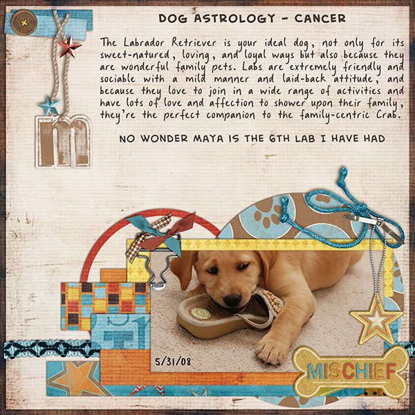 2008_9_labs_Cookie-51