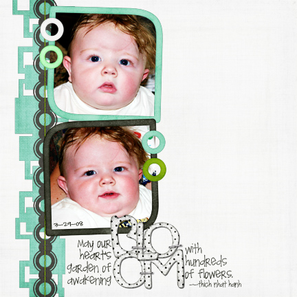 2008_Bloom