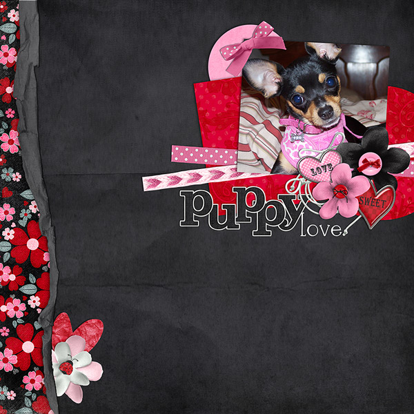 2008_Puppy-Love_Lily