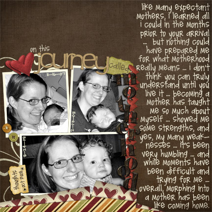 2008_journeycalledmotherhood