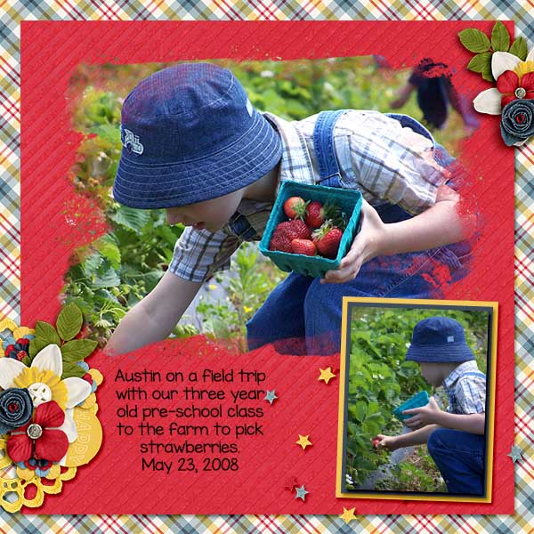 2008_may_23_strawberry_picking_web