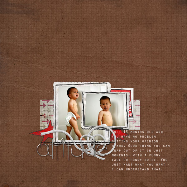 2009-Attitude
