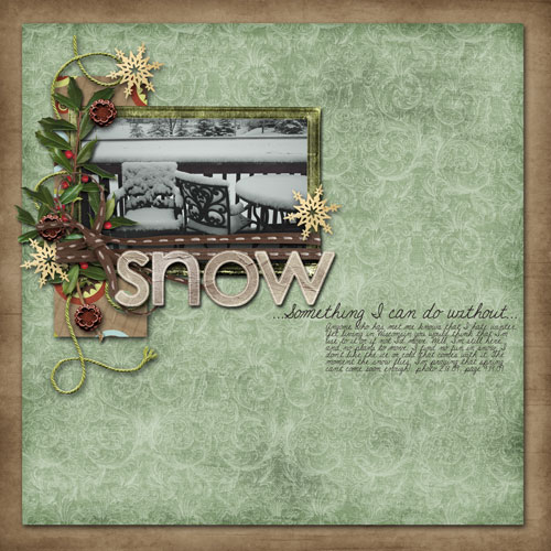 2009_02_18-Snow-storm