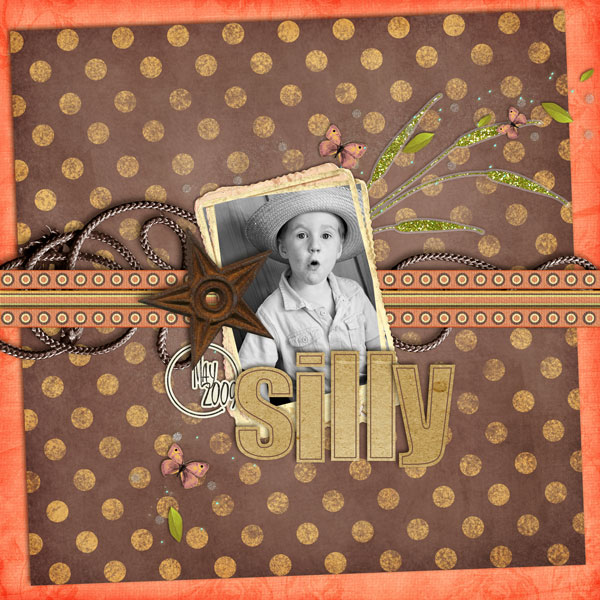 2009_05_SillyWeb