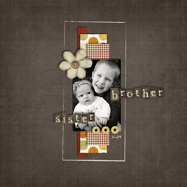 2009_11_brosis
