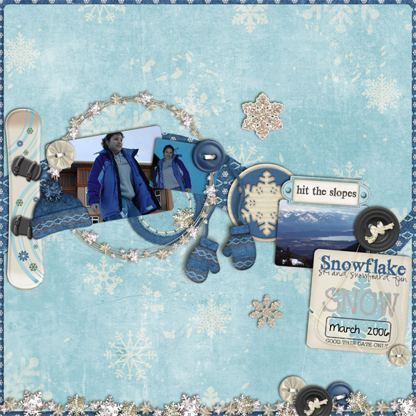 2009_12_lreiber_catchawavefreebie