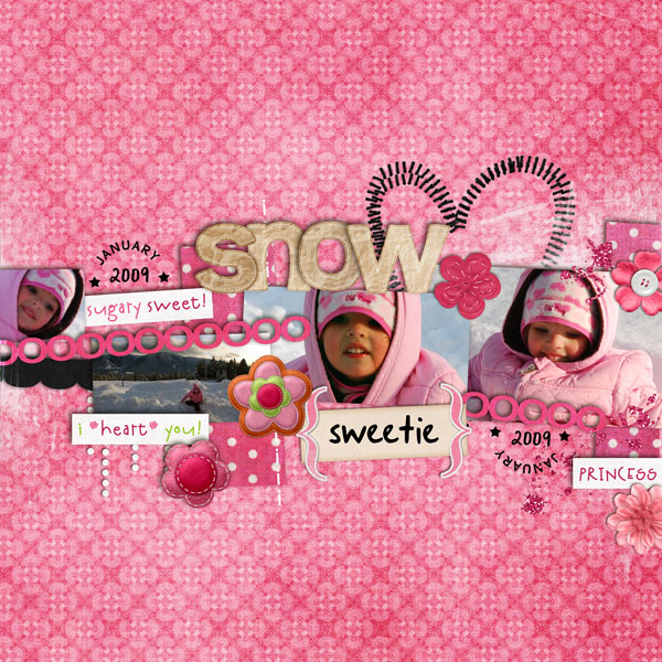 2009_1_SSetiadji_CookieTemplate_6Jan2009