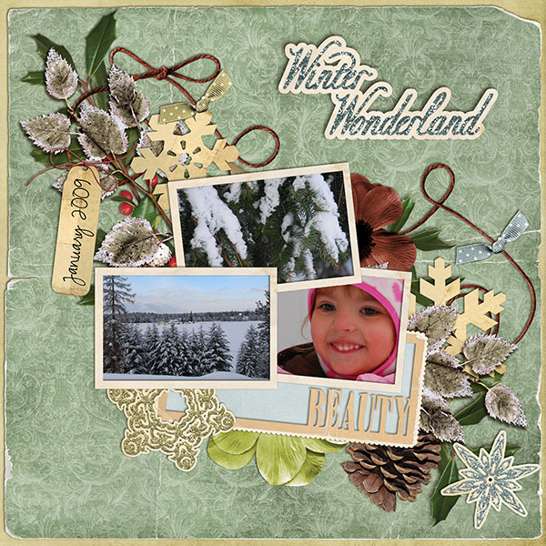 2009_1_winterwonderland