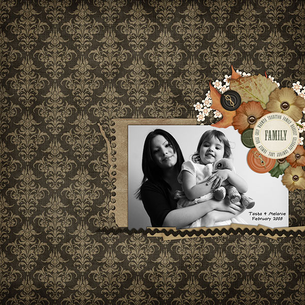 2009_2_family
