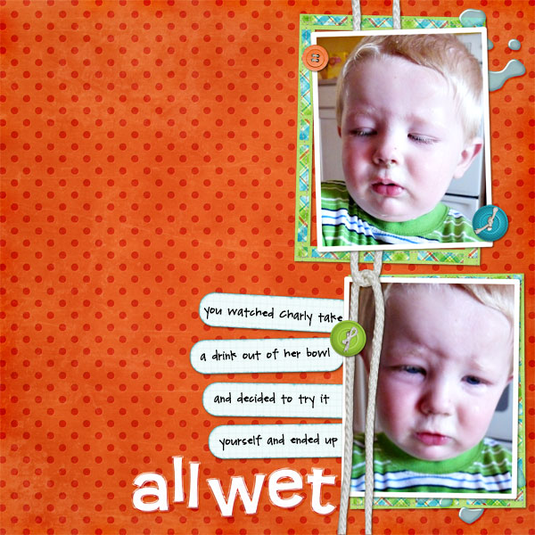 2009_allwet