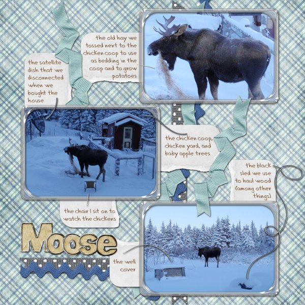 2009_moose_snow_small_b