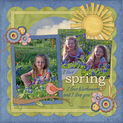 2010_03_bluebonnets-webcopy