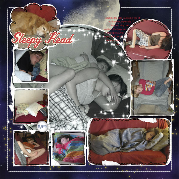 2010_Sleeping_through_the_year_WEB