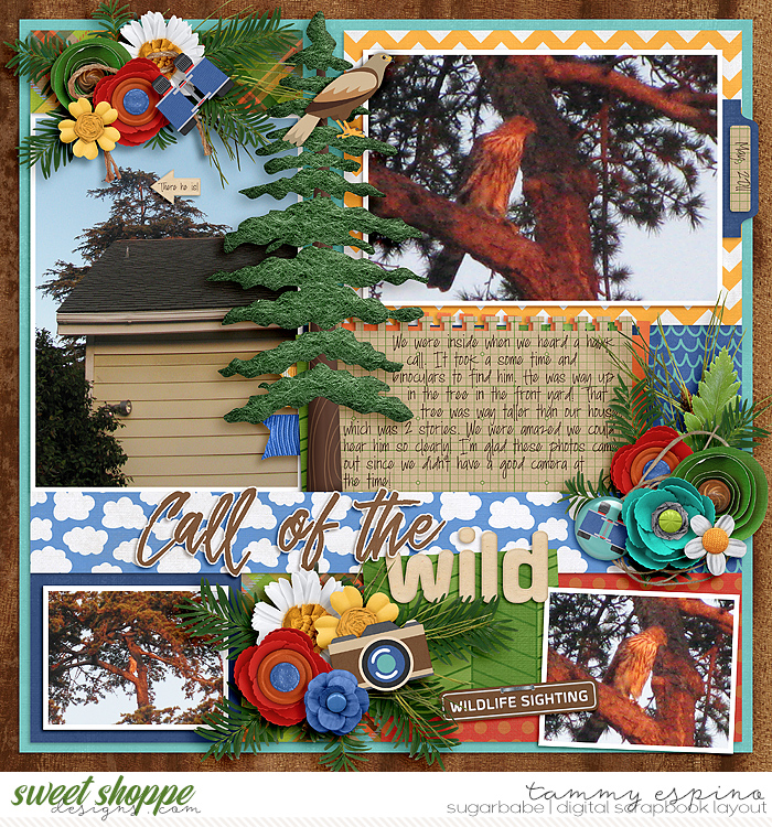 2011-05_CMG-GoneHiking_cs-MiniAlbum2_web1